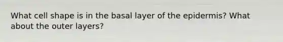 What cell shape is in the basal layer of the epidermis? What about the outer layers?