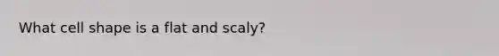 What cell shape is a flat and scaly?