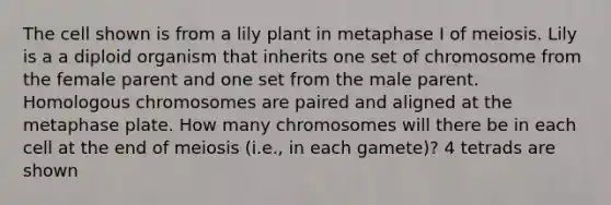 The cell shown is from a lily plant in metaphase I of meiosis. Lily is a a diploid organism that inherits one set of chromosome from the female parent and one set from the male parent. Homologous chromosomes are paired and aligned at the metaphase plate. How many chromosomes will there be in each cell at the end of meiosis (i.e., in each gamete)? 4 tetrads are shown