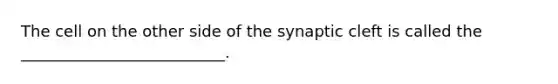 The cell on the other side of the synaptic cleft is called the __________________________.