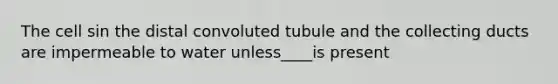 The cell sin the distal convoluted tubule and the collecting ducts are impermeable to water unless____is present