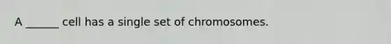 A ______ cell has a single set of chromosomes.