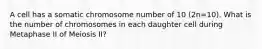 A cell has a somatic chromosome number of 10 (2n=10). What is the number of chromosomes in each daughter cell during Metaphase II of Meiosis II?