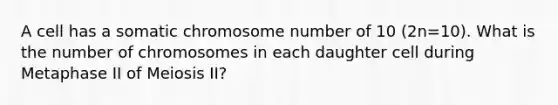 A cell has a somatic chromosome number of 10 (2n=10). What is the number of chromosomes in each daughter cell during Metaphase II of Meiosis II?