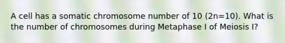 A cell has a somatic chromosome number of 10 (2n=10). What is the number of chromosomes during Metaphase I of Meiosis I?