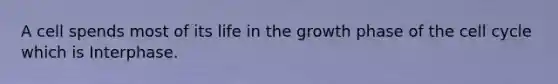 A cell spends most of its life in the growth phase of the <a href='https://www.questionai.com/knowledge/keQNMM7c75-cell-cycle' class='anchor-knowledge'>cell cycle</a> which is Interphase.
