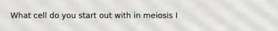 What cell do you start out with in meiosis I