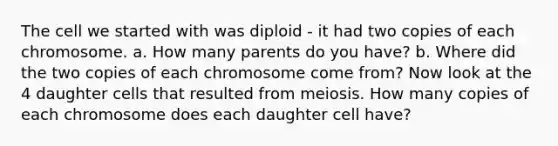 The cell we started with was diploid - it had two copies of each chromosome. a. How many parents do you have? b. Where did the two copies of each chromosome come from? Now look at the 4 daughter cells that resulted from meiosis. How many copies of each chromosome does each daughter cell have?