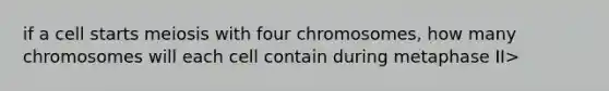 if a cell starts meiosis with four chromosomes, how many chromosomes will each cell contain during metaphase II>