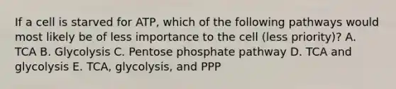 If a cell is starved for ATP, which of the following pathways would most likely be of less importance to the cell (less priority)? A. TCA B. Glycolysis C. Pentose phosphate pathway D. TCA and glycolysis E. TCA, glycolysis, and PPP