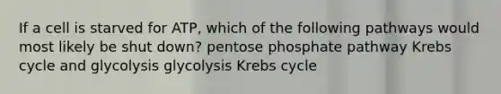 If a cell is starved for ATP, which of the following pathways would most likely be shut down? pentose phosphate pathway <a href='https://www.questionai.com/knowledge/kqfW58SNl2-krebs-cycle' class='anchor-knowledge'>krebs cycle</a> and glycolysis glycolysis Krebs cycle