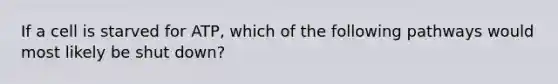 If a cell is starved for ATP, which of the following pathways would most likely be shut down?