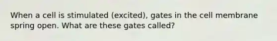 When a cell is stimulated (excited), gates in the cell membrane spring open. What are these gates called?