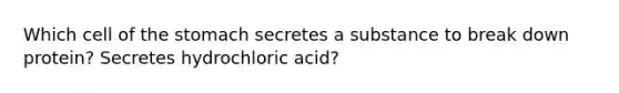 Which cell of the stomach secretes a substance to break down protein? Secretes hydrochloric acid?