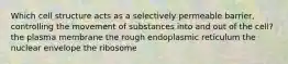 Which cell structure acts as a selectively permeable barrier, controlling the movement of substances into and out of the cell? the plasma membrane the rough endoplasmic reticulum the nuclear envelope the ribosome