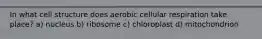 In what cell structure does aerobic cellular respiration take place? a) nucleus b) ribosome c) chloroplast d) mitochondrion