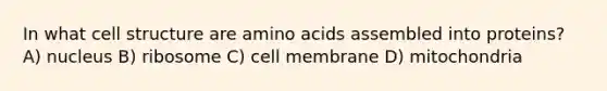 In what cell structure are <a href='https://www.questionai.com/knowledge/k9gb720LCl-amino-acids' class='anchor-knowledge'>amino acids</a> assembled into proteins? A) nucleus B) ribosome C) cell membrane D) mitochondria