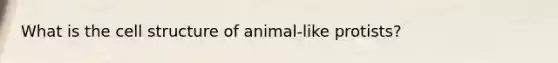 What is the cell structure of animal-like protists?