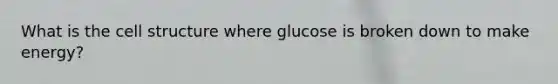 What is the cell structure where glucose is broken down to make energy?