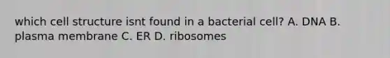 which cell structure isnt found in a bacterial cell? A. DNA B. plasma membrane C. ER D. ribosomes