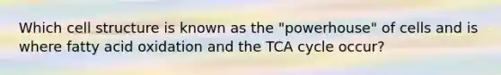 Which cell structure is known as the "powerhouse" of cells and is where fatty acid oxidation and the TCA cycle occur?