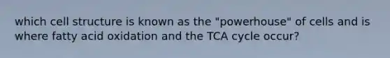 which cell structure is known as the "powerhouse" of cells and is where fatty acid oxidation and the TCA cycle occur?