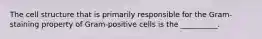 The cell structure that is primarily responsible for the Gram-staining property of Gram-positive cells is the __________.