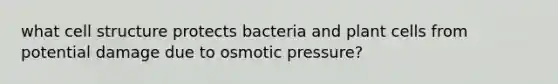 what cell structure protects bacteria and plant cells from potential damage due to osmotic pressure?