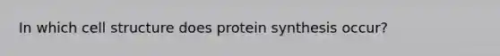 In which cell structure does protein synthesis occur?