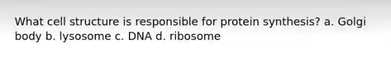 What cell structure is responsible for <a href='https://www.questionai.com/knowledge/kVyphSdCnD-protein-synthesis' class='anchor-knowledge'>protein synthesis</a>? a. Golgi body b. lysosome c. DNA d. ribosome