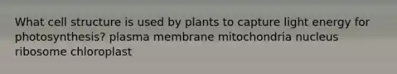 What cell structure is used by plants to capture light energy for photosynthesis? plasma membrane mitochondria nucleus ribosome chloroplast