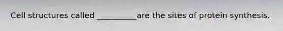 Cell structures called __________are the sites of protein synthesis.