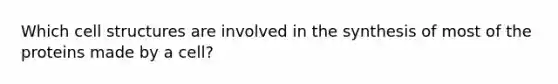 Which cell structures are involved in the synthesis of most of the proteins made by a cell?