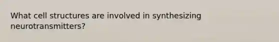 What cell structures are involved in synthesizing neurotransmitters?