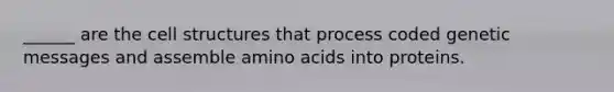 ______ are the cell structures that process coded genetic messages and assemble <a href='https://www.questionai.com/knowledge/k9gb720LCl-amino-acids' class='anchor-knowledge'>amino acids</a> into proteins.