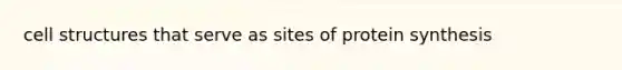 cell structures that serve as sites of protein synthesis