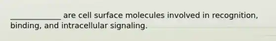 _____________ are cell surface molecules involved in recognition, binding, and intracellular signaling.