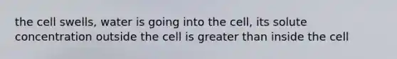 the cell swells, water is going into the cell, its solute concentration outside the cell is greater than inside the cell