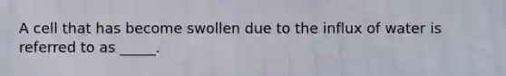 A cell that has become swollen due to the influx of water is referred to as _____.