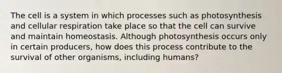 The cell is a system in which processes such as photosynthesis and cellular respiration take place so that the cell can survive and maintain homeostasis. Although photosynthesis occurs only in certain producers, how does this process contribute to the survival of other organisms, including humans?