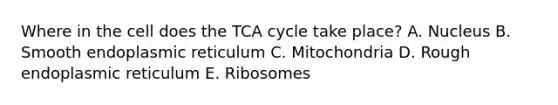 Where in the cell does the TCA cycle take place? A. Nucleus B. Smooth endoplasmic reticulum C. Mitochondria D. Rough endoplasmic reticulum E. Ribosomes