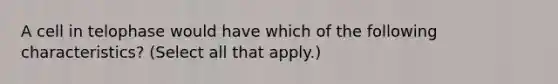 A cell in telophase would have which of the following characteristics? (Select all that apply.)