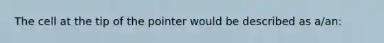 The cell at the tip of the pointer would be described as a/an: