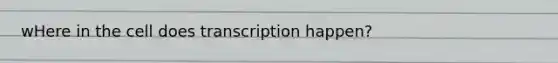 wHere in the cell does transcription happen?