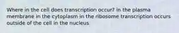 Where in the cell does transcription occur? in the plasma membrane in the cytoplasm in the ribosome transcription occurs outside of the cell in the nucleus