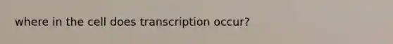 where in the cell does transcription occur?