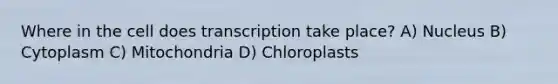 Where in the cell does transcription take place? A) Nucleus B) Cytoplasm C) Mitochondria D) Chloroplasts