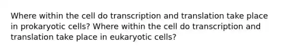 Where within the cell do transcription and translation take place in prokaryotic cells? Where within the cell do transcription and translation take place in eukaryotic cells?