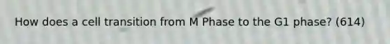 How does a cell transition from M Phase to the G1 phase? (614)