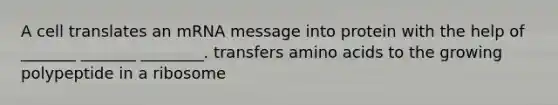 A cell translates an mRNA message into protein with the help of _______ _______ ________. transfers amino acids to the growing polypeptide in a ribosome